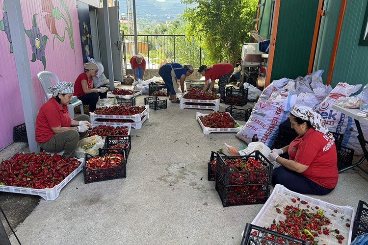 Çiftçilerin ürünleri kadınların elinde katma değere dönüşüyor