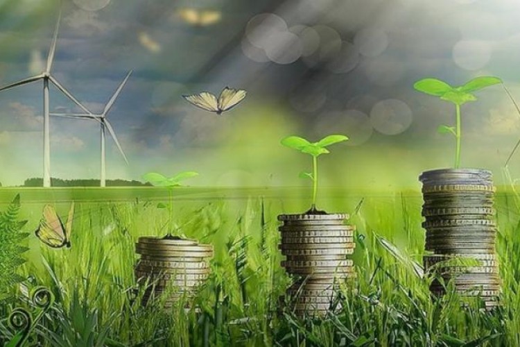 Yeşil dönüşümde bu yıl 50 firma desteklenecek