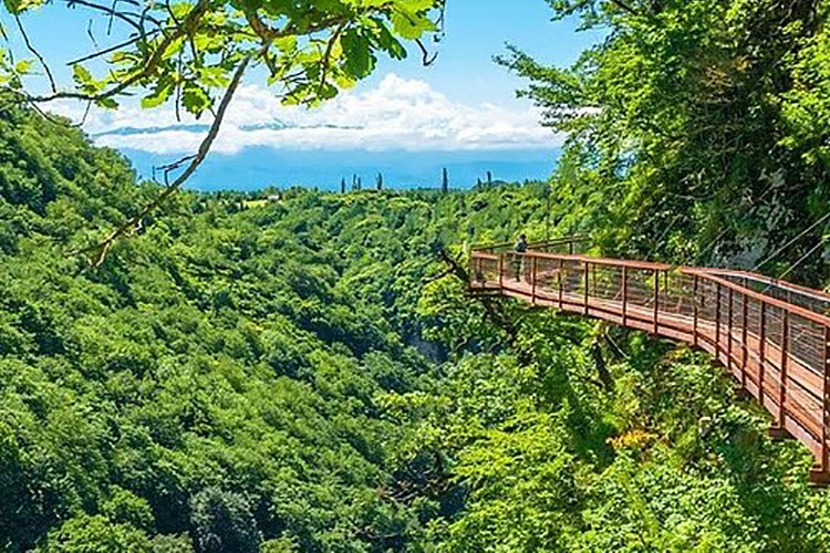 Batı'ya açılan kapı: Tiflis