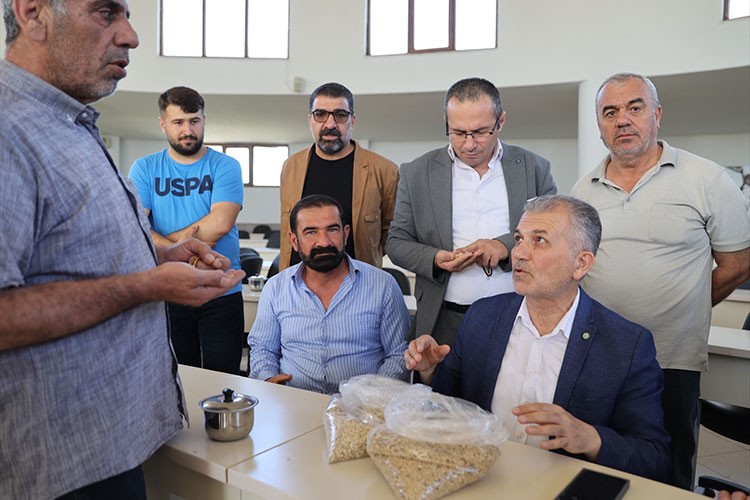 Mardin'de sezonun ilk arpa hasadı yapıldı