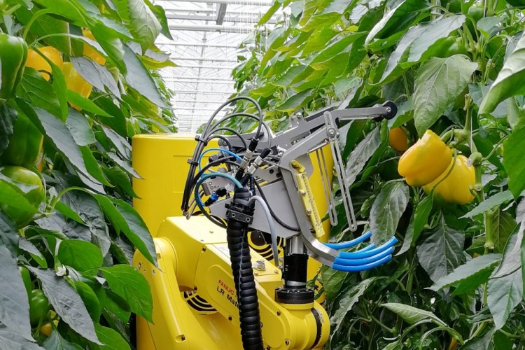 FANUC robotları sürdürülebilir tarımı destekliyor