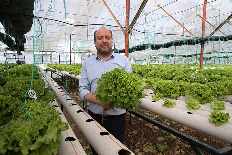 Uçak mühendisi işini bırakarak sebze üretiyor