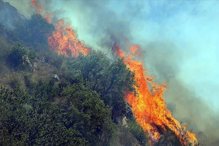 İklim değişikliği orman yangınlarını şiddetlendirdi