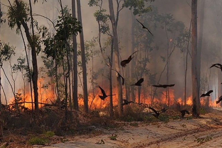 "Alev kuşları" 10 bin 683 saat uçuş yaptı