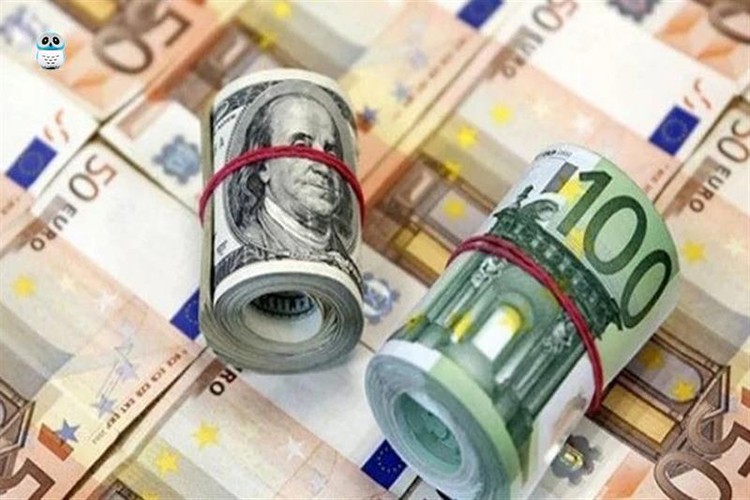 Reel efektif döviz kuru ocakta yükseldi