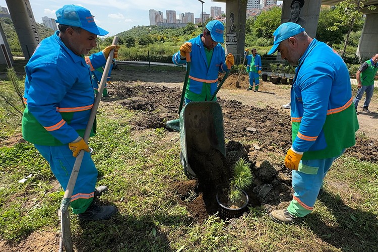 Başakşehir'in fidan üretim merkezi Türkiye'ye nefes oluyor