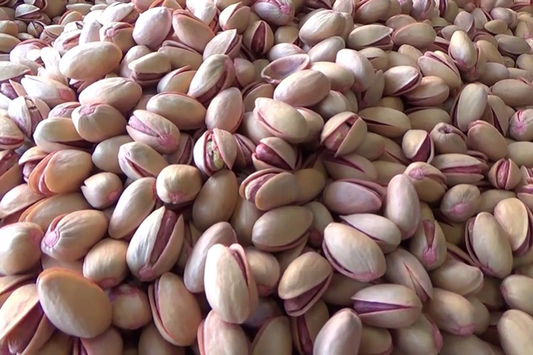 İran'dan getirilen fıstıklar Siirt fıstığının kalitesini düşürdü