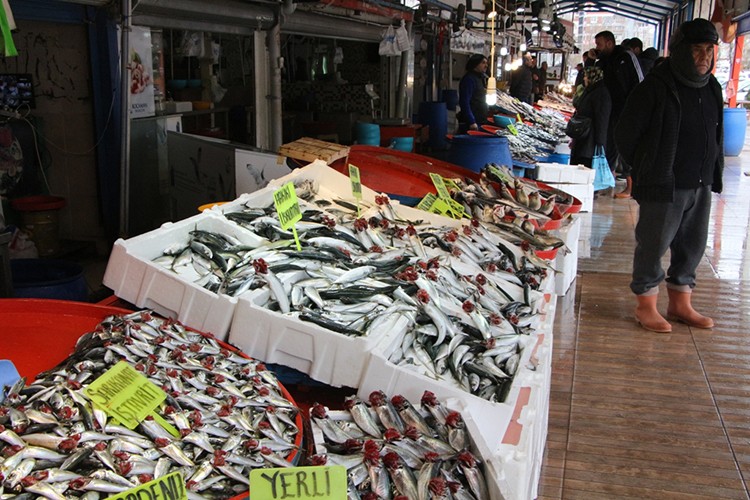 Açık deniz balıkçılığı çağrısı