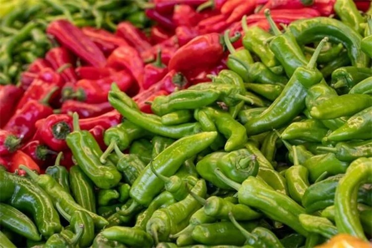 Batı Akdeniz'in ilk çeyrekteki ihracat şampiyonu "biber" oldu