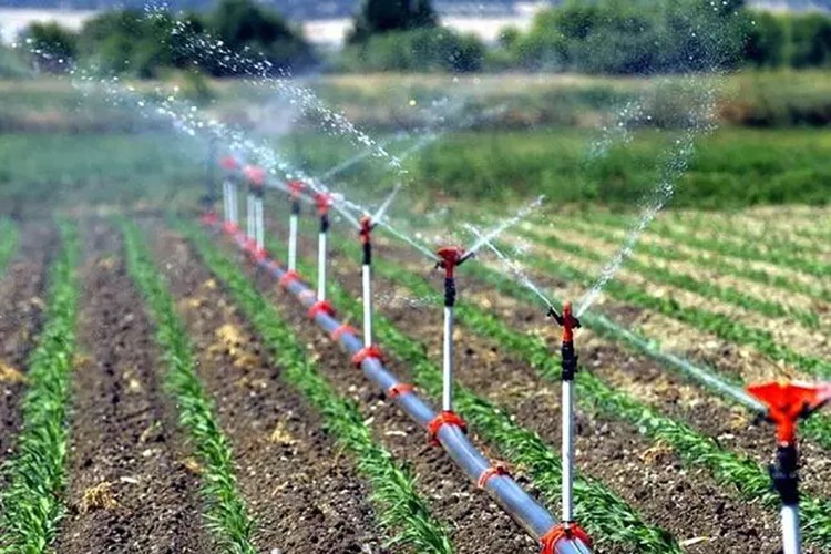 Tarımsal sulamalar elektrik tüketiminde rekor kırdırdı