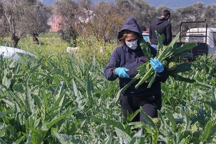 Sosyal medyadan satıyor