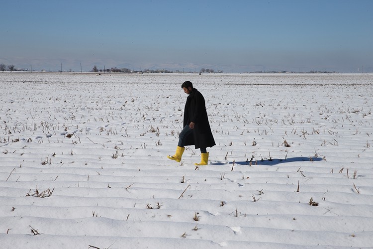 Şanlıurfa'da etkili olan kar yağışı çiftçiye umut oldu
