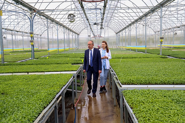 Konya'nın ilk ve tek sebze fidesi üretim merkezinde satışlar başladı