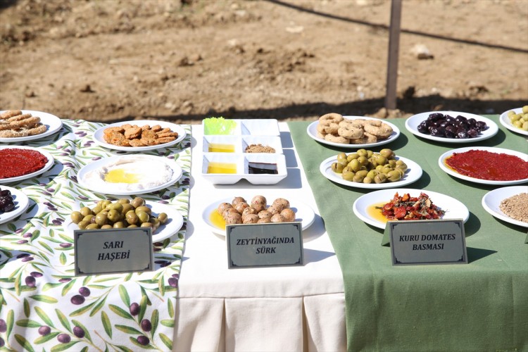 Hatay'da 9. Zeytin, Zeytinyağı ve Gastronomi Festivali başladı