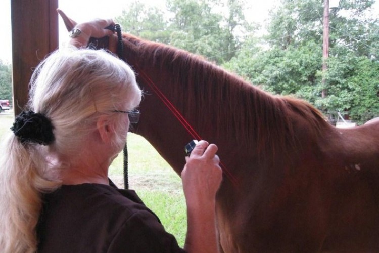 Yenilikçi veteriner tedavi yöntemi
