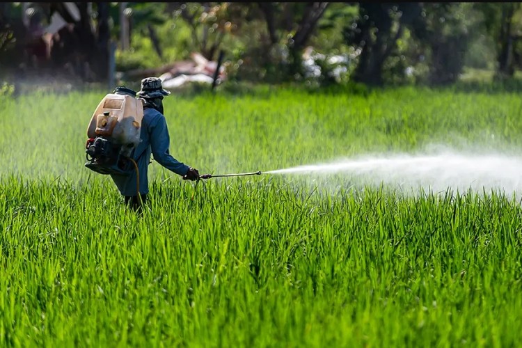 AB, glifosat kullanımını uzatmaya hazırlanıyor