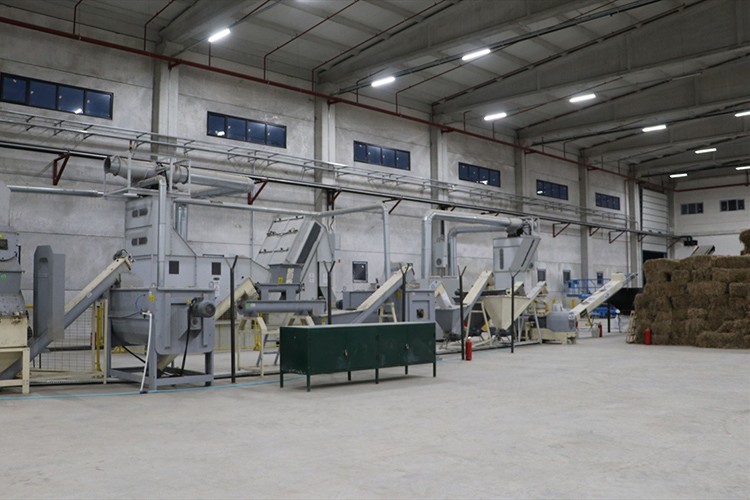 Samsun'da kenevir işleyecek fabrika tanıtıldı