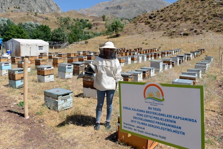 Organik arıcılık yapanlara kovan başına 30 lira destek verilecek