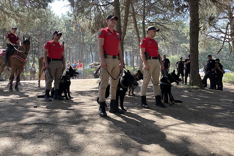 İstanbul'da orman yangınlarına karşı denetim