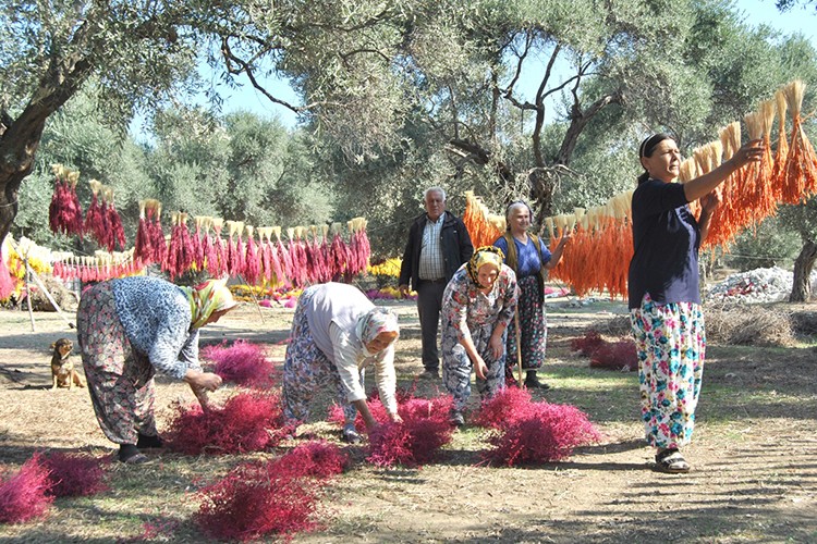 Köylüye "çiçek" gibi kazanç