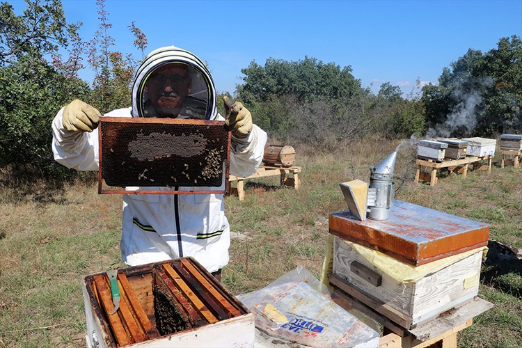Edirne'de kurulan bal ormanı kalite ve rekolteyi artırdı