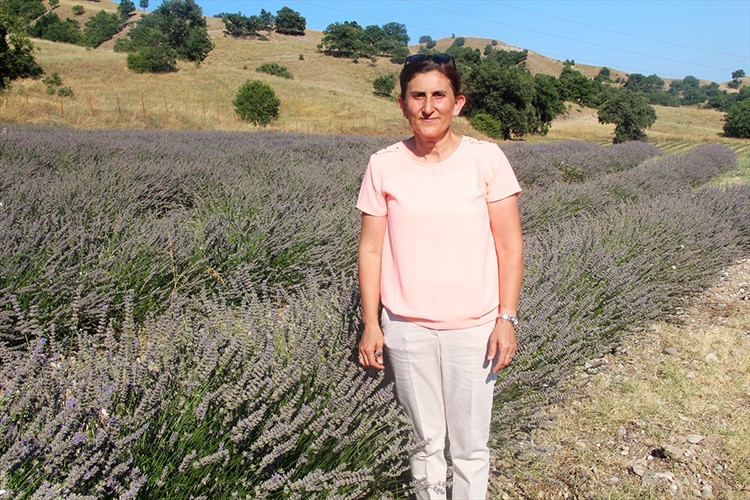 Kadın üretici ilçesinde lavanta yetiştiriyor