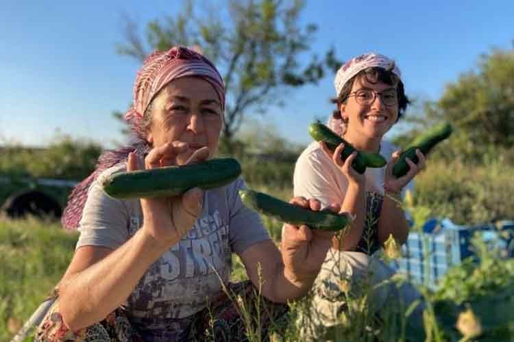 Soframıza gelen zehirlerden 6'sı daha yasaklandı