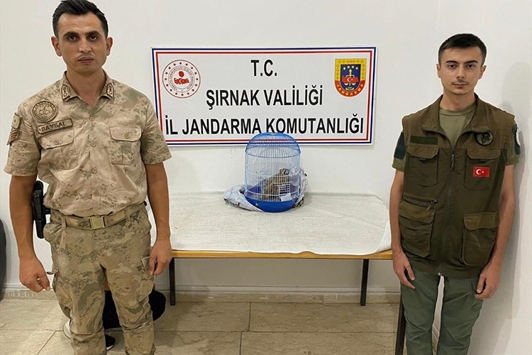 Aracında 2 keklik bulunan kişiye 13 bin 922 lira ceza