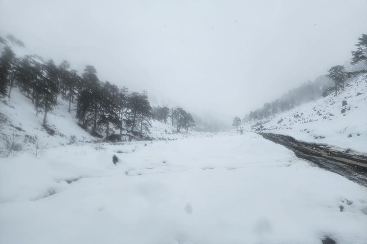 Yoğun yağışlar enerji üretimini destekledi