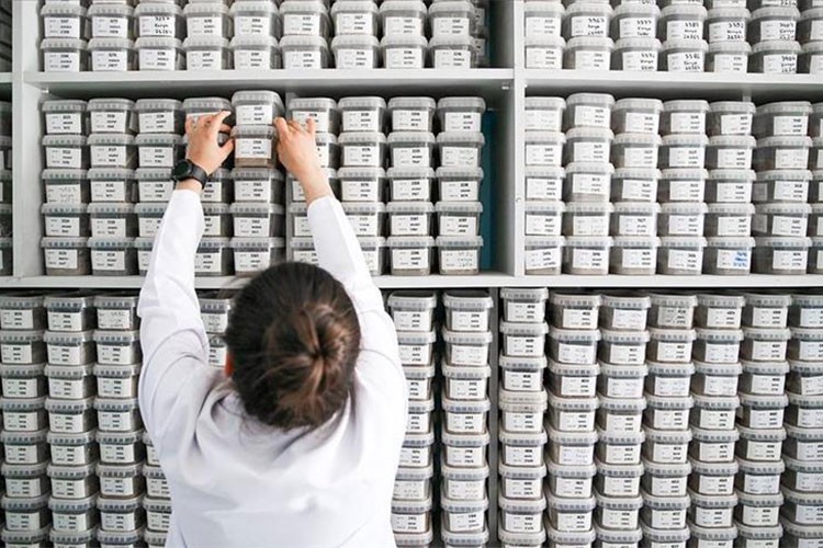 Konya'dan silah ömrünü uzatan kaplama teknolojisi