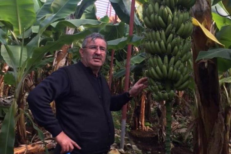 Stok fiyat yükseltiyor