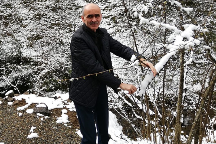 Fındık üreticisinde kar endişesi