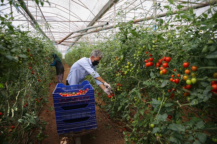 Antalya'da pazar yeri hareketliliği