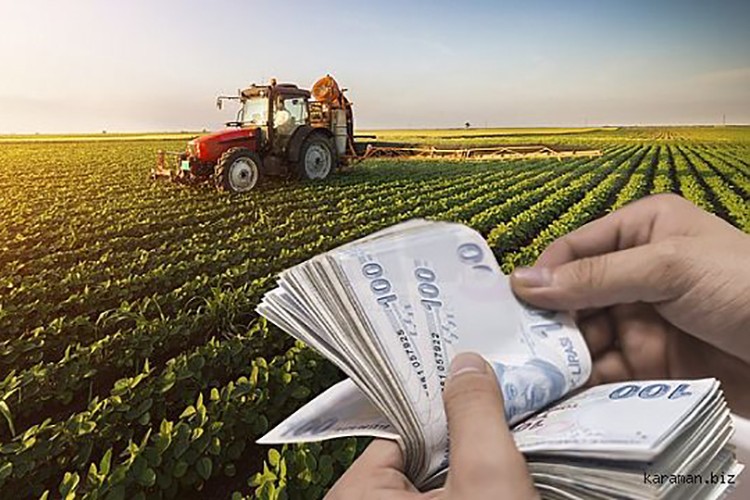 Tarımsal girdi fiyatları yüzde 2.68 arttı