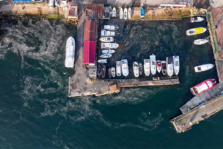 Marmara Denizi'nde müsilaj yeniden görüldü