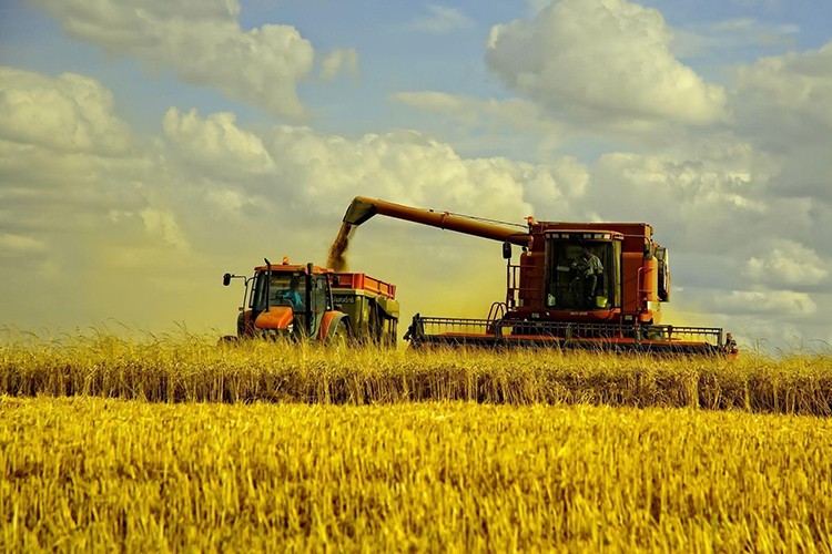 Tarım ÜFE aylık bazda %2,52 arttı