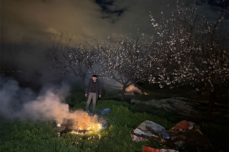 Üreticiler çiçek açan ağaçlar için gece ateş başında nöbette