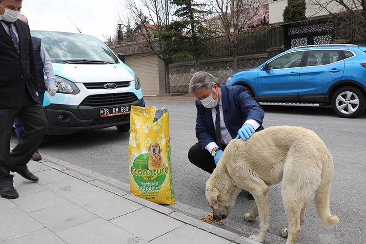 Sokak hayvanları unutulmadı