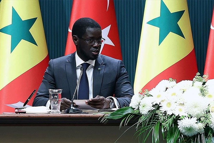 "Çok canlı bir yatırımcı ağı var"