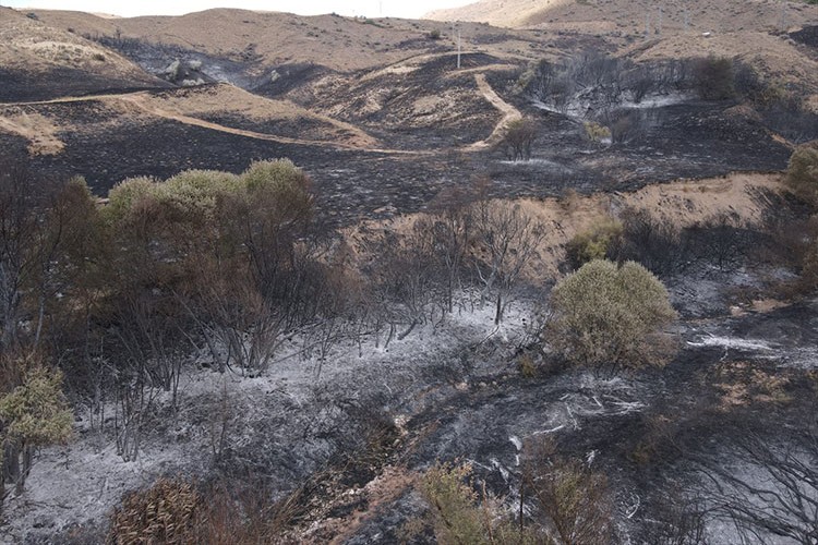 Aağaçlık alanda çıkan yangın söndürüldü