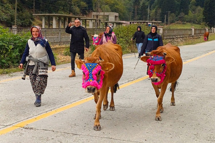 Trabzon'da yaylalardan dönüş yolculuğu devam ediyor