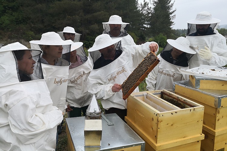 Balparmak'ın dünyaya faydalı 40 yılı