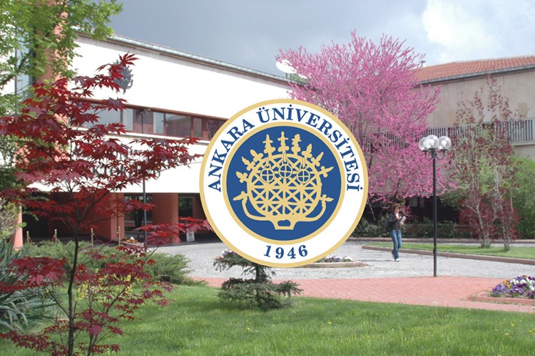 Gayrımenkul geliştirme