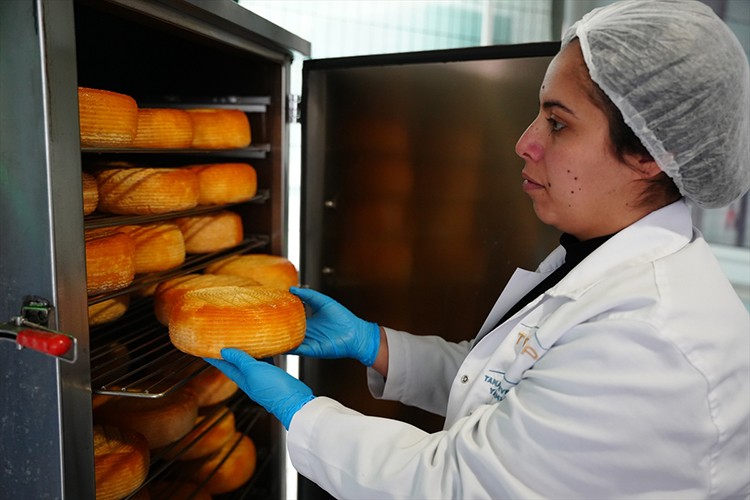 Bigalı kadınlar kadim tariflerle peyniri markaya dönüştürdü