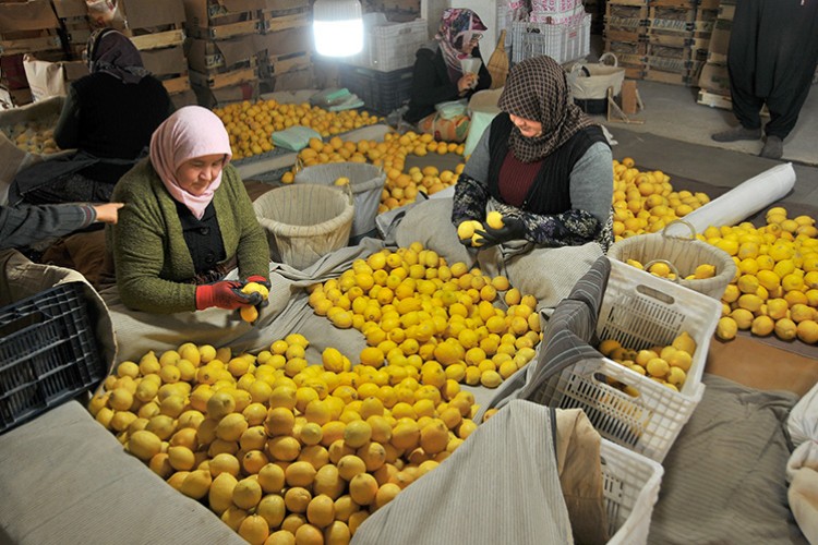 Verim düştü, fiyat arttı