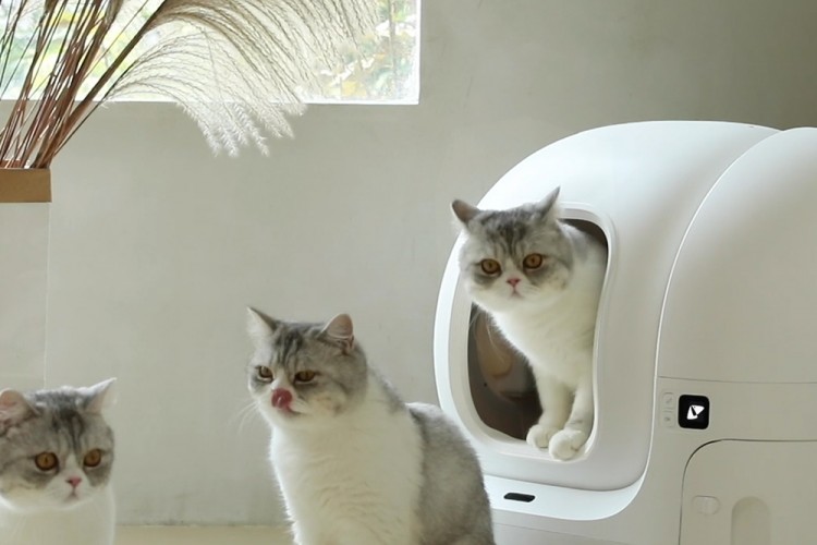 Kedinizin sağlığını ve konforunu Petkit Petkit akıllı kedi tuvaletleri ile sağlamak mümkün!