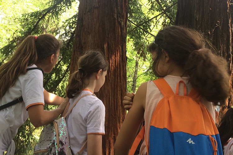 ÇEKÜL Bilgi Ağacı'nın Öğretmen Programları Başvuruları Başladı