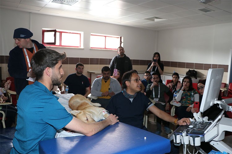 Veteriner Bilimleri ve Hayvancılık Çalıştayı sona erdi