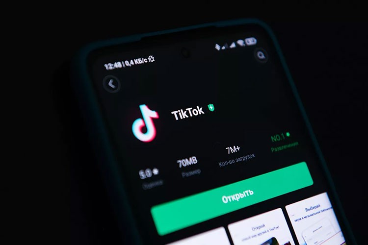 TikTok, Türkiye için ulusal güvenlik meselesidir
