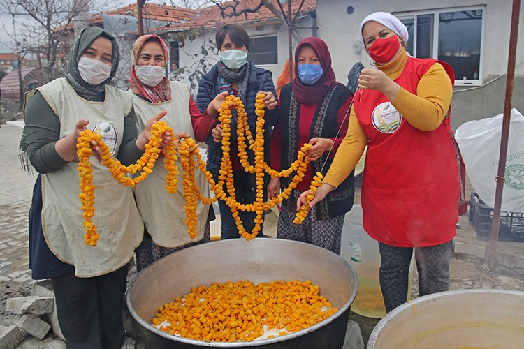 Turunçlar sofraya lezzet, ekonomiye değer katacak